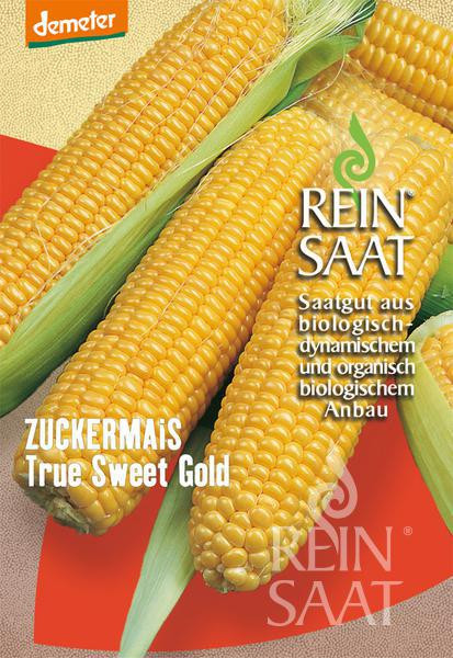 Bio Zuckermais True Gold Sweet Korn - Saatgut 80Stk.