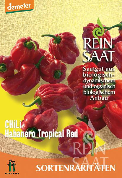 Bio Chili Habanero Tropical Red - Saatgut 20Stk.