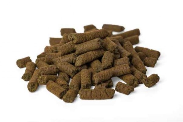 Hanfpellets Ø 15mm - Hunde