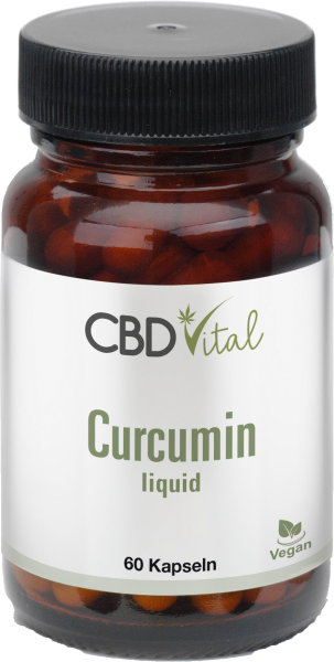 Curcumin liquid - Kapseln 60Stk.