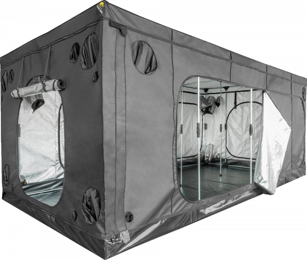 Mammoth Tent Elite S.A. 600L