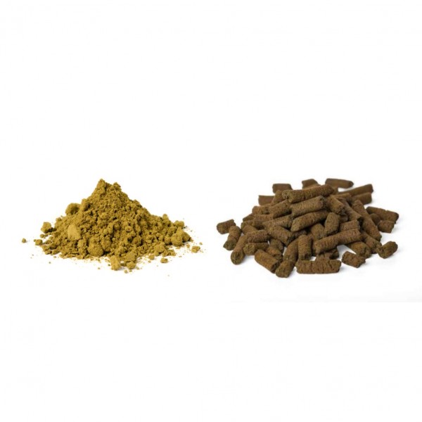 Bio Hanf Mix Set