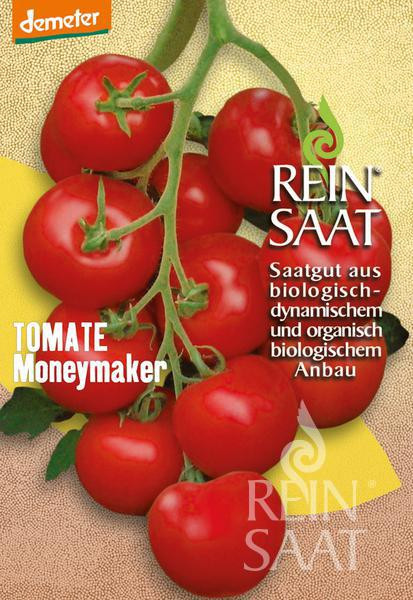 Bio Tomate Moneymaker Saatgut 40Stk.