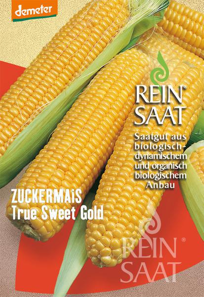 Zuckermais Saatgut kaufen - Gemse Saatgut - Hanf Saatgut -  www.healthy-plant.at | Healthy Plant - Onlineshop fr naturreine  Hanfprodukte